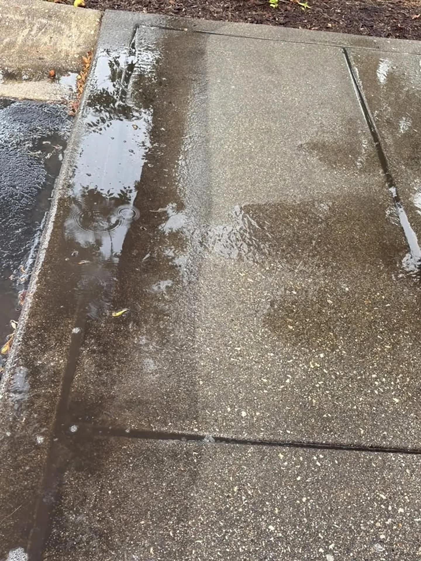 Sidewalk with a cleaned strip showing how much grey the surface had held