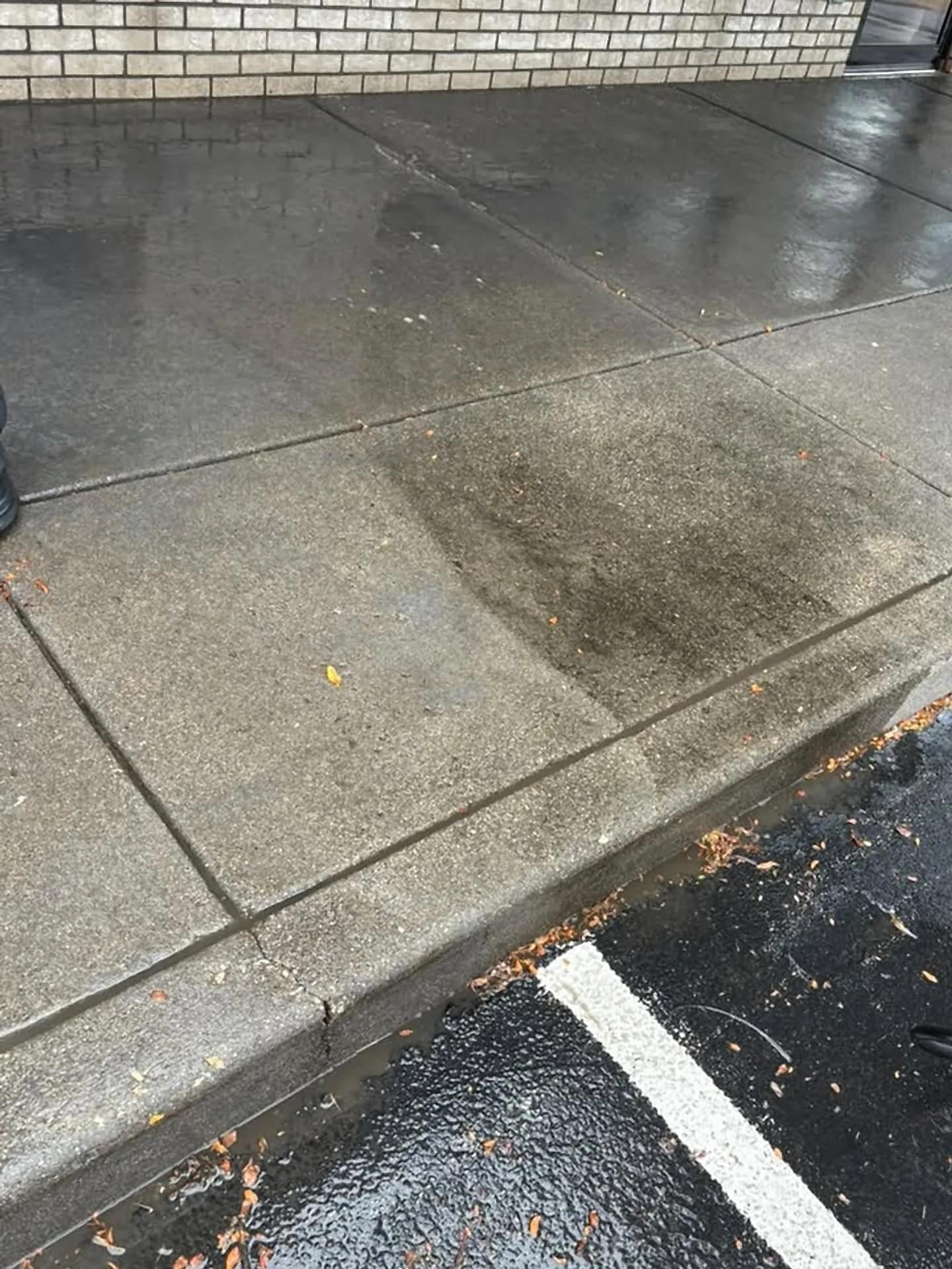 Concrete sidewalk mid-pass, sharp line between washed and unwashed