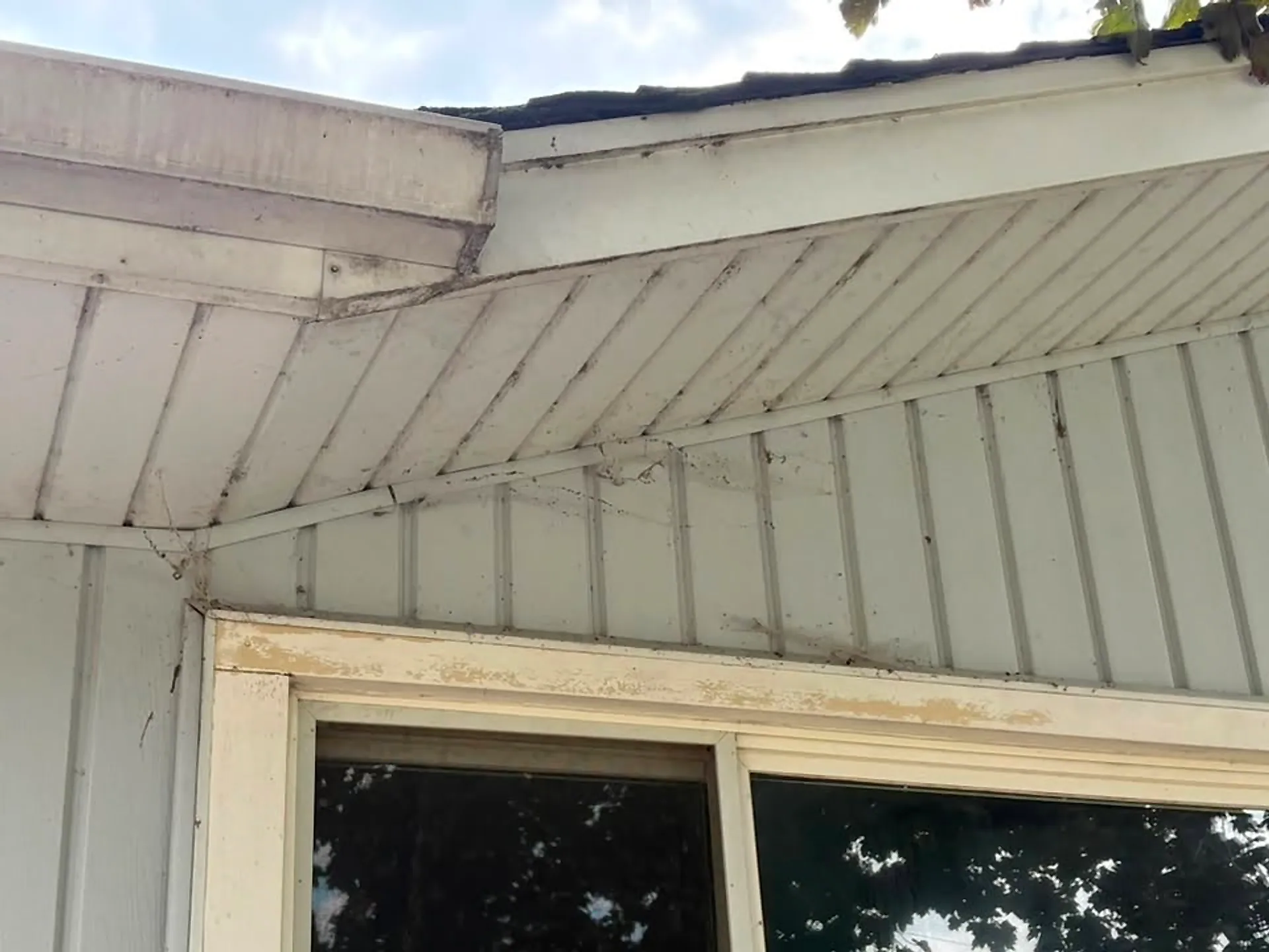 Soffit and window trim cleaned of algae streaking