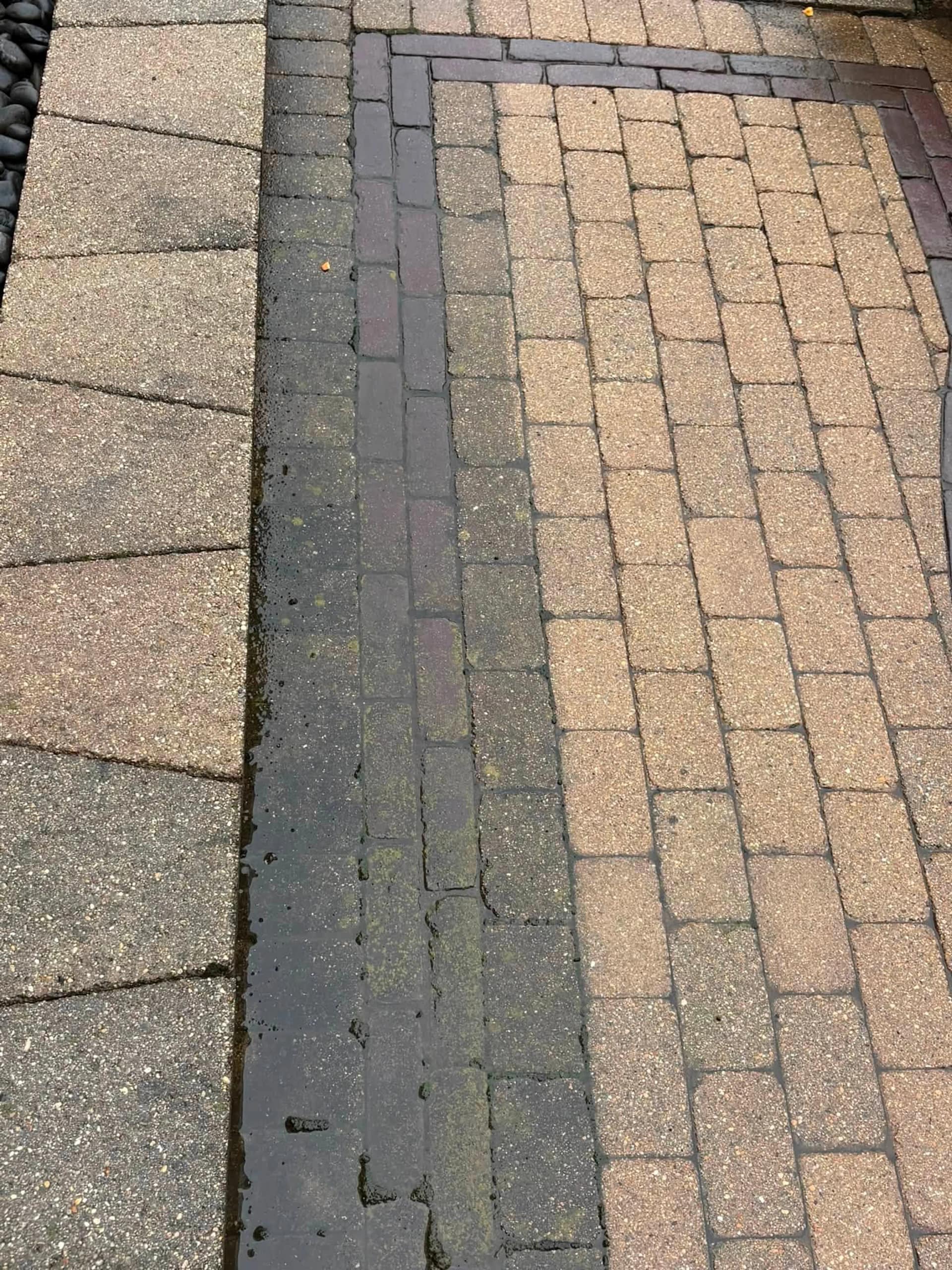 Paver path cleaned along its full length beside untouched pavers