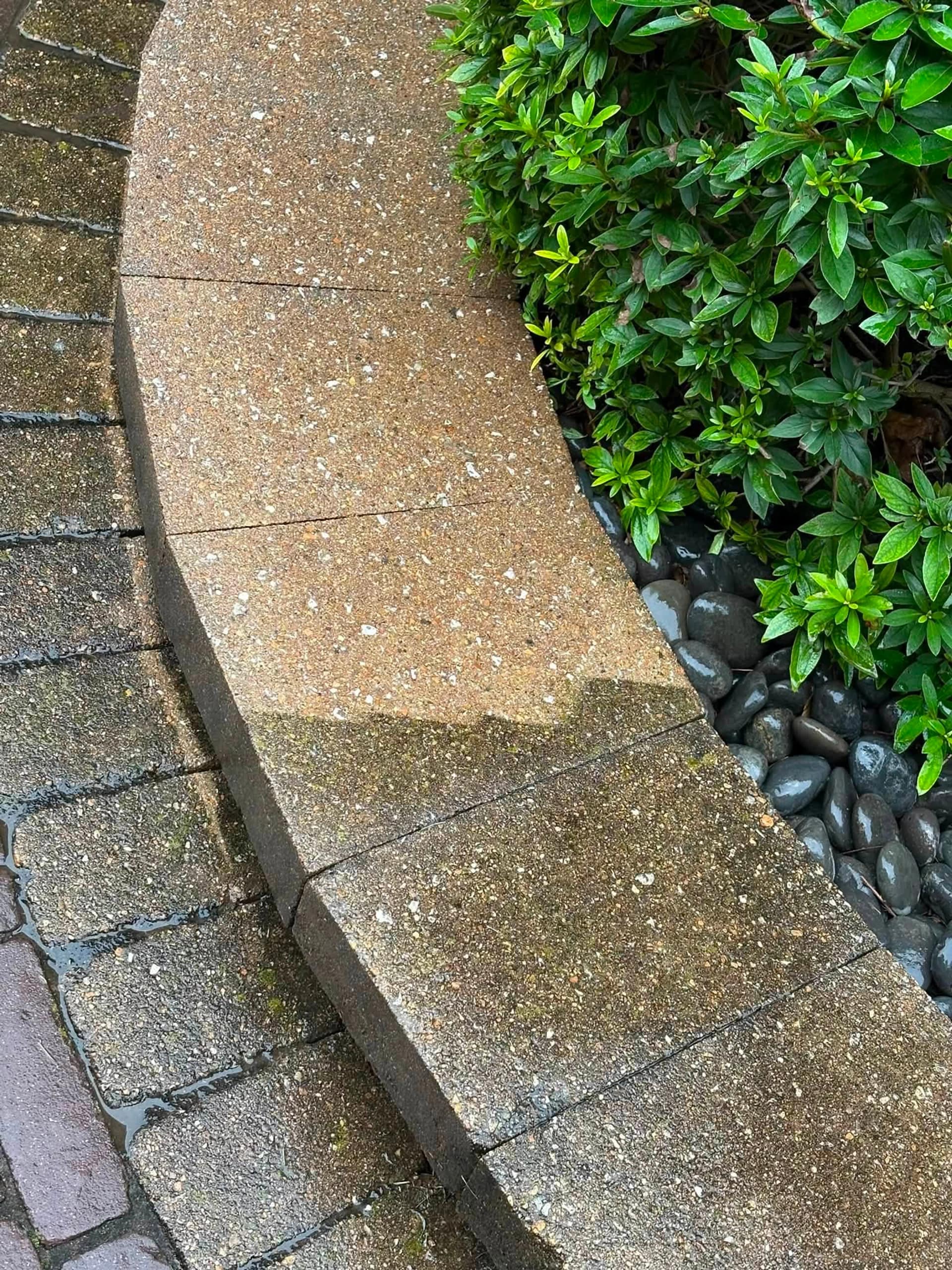 Brick walkway and border cleaned back to colour beside planting