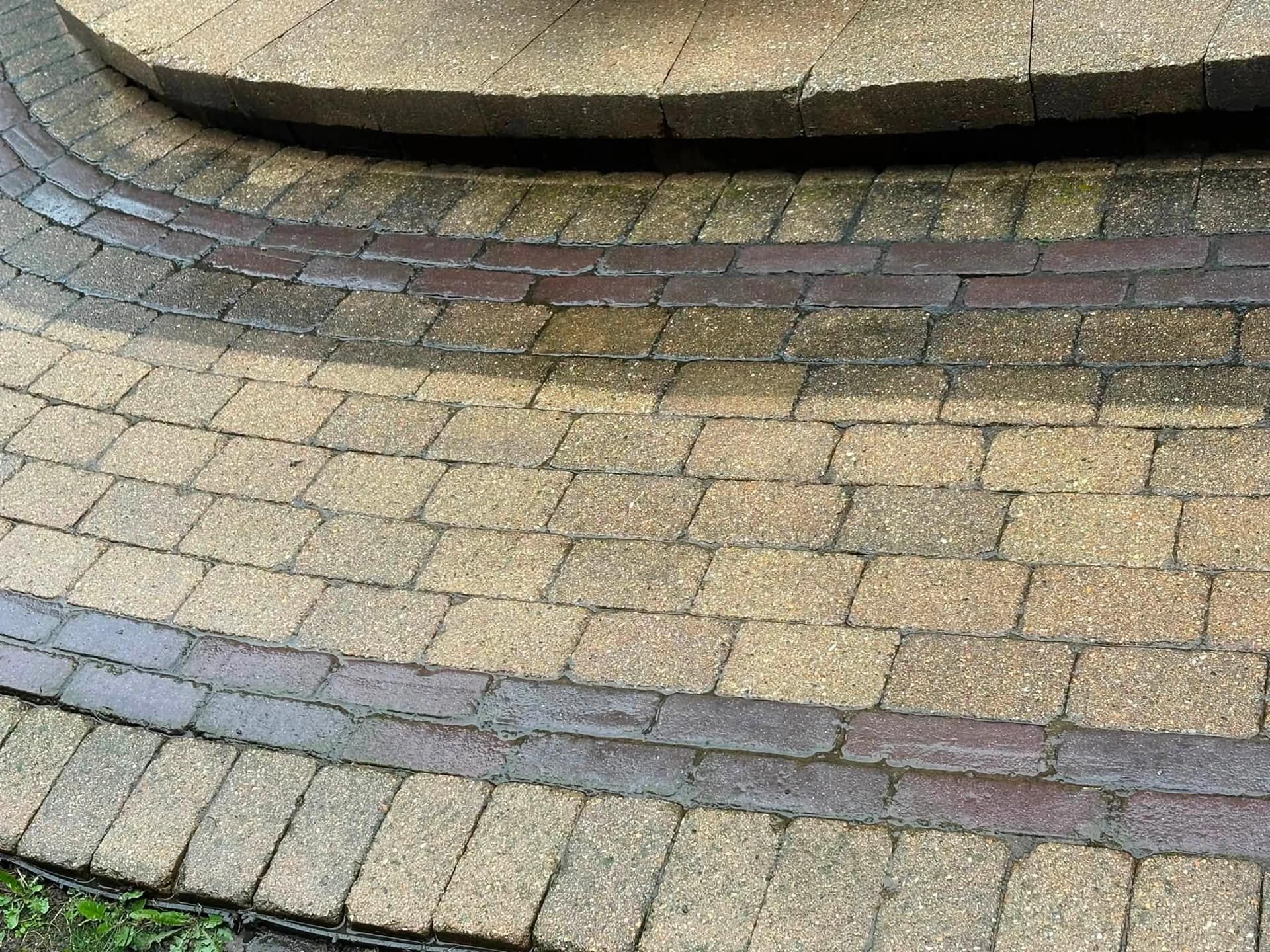 Curved paver walkway cleaned end to end