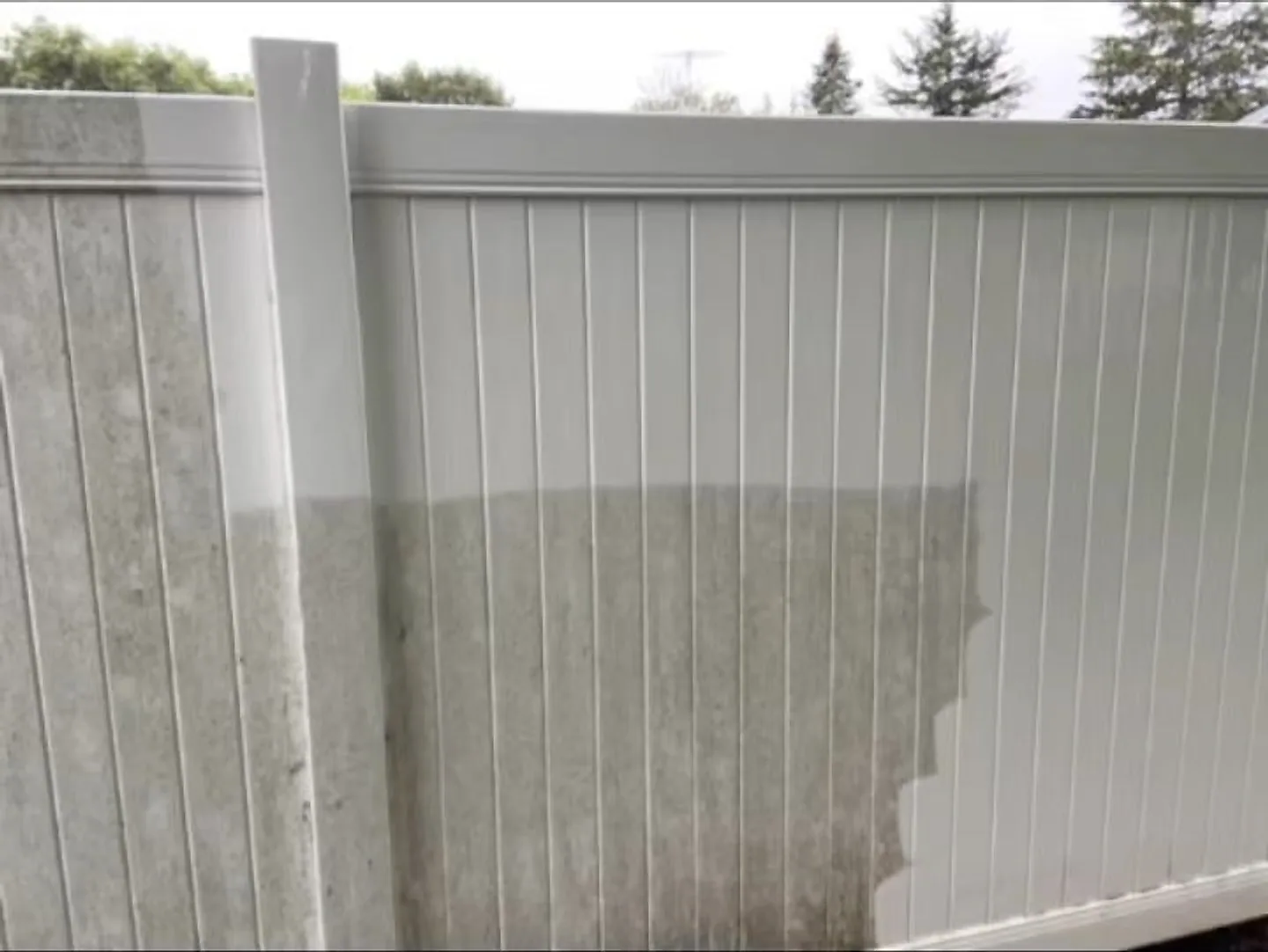 White vinyl privacy fence mid-wash, a ragged line between the grey-stained half and the clean half